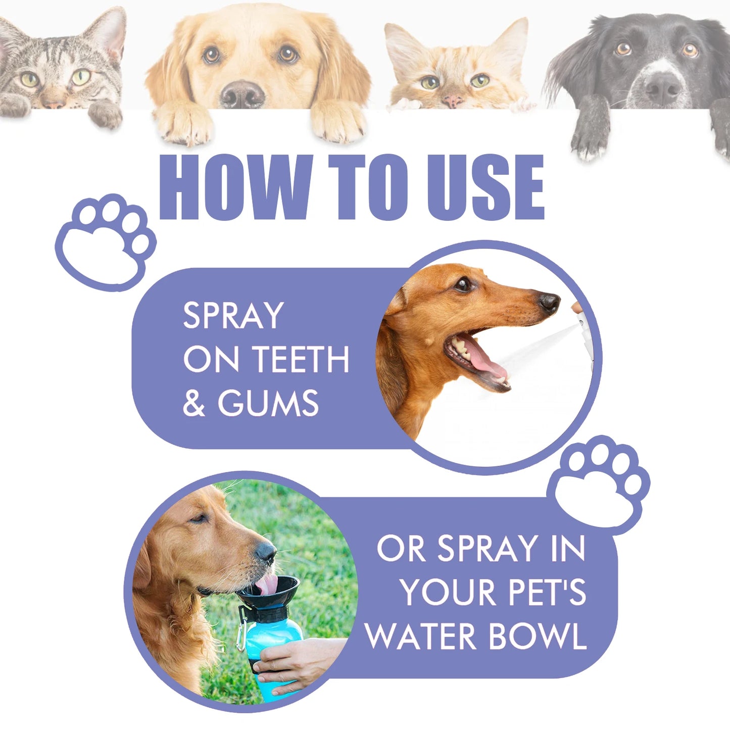 WhiskFresh™ Oral Spray