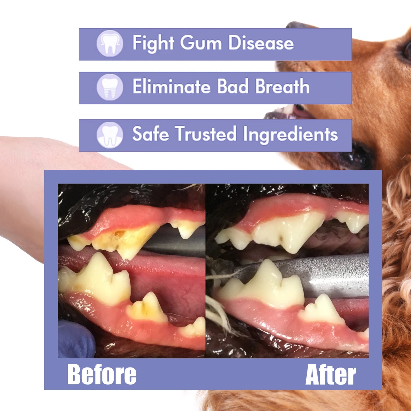 WhiskFresh™ Oral Spray