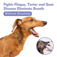 WhiskFresh™ Oral Spray